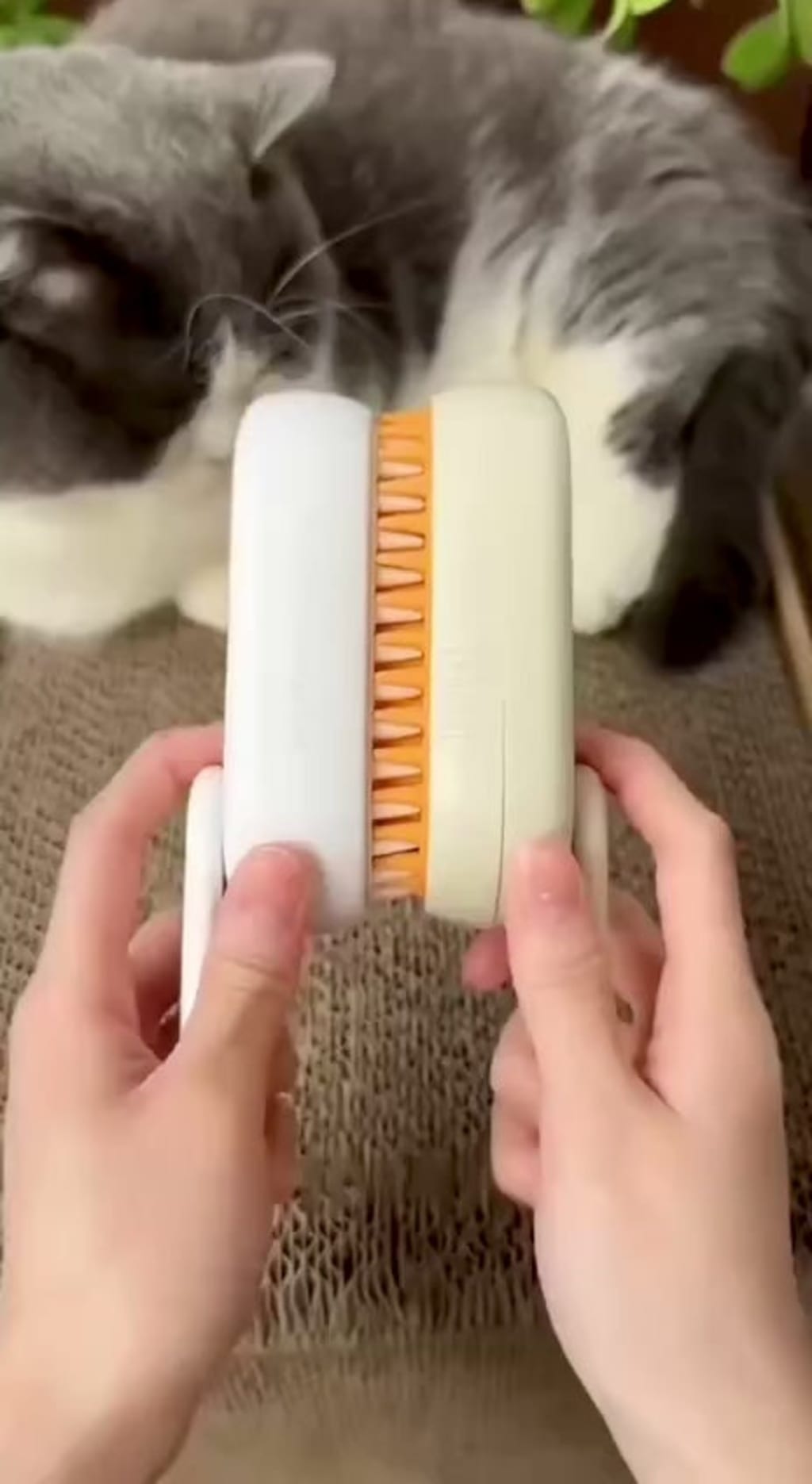 SteamGroom Pro™ 3-in-1 Pet Grooming Brush